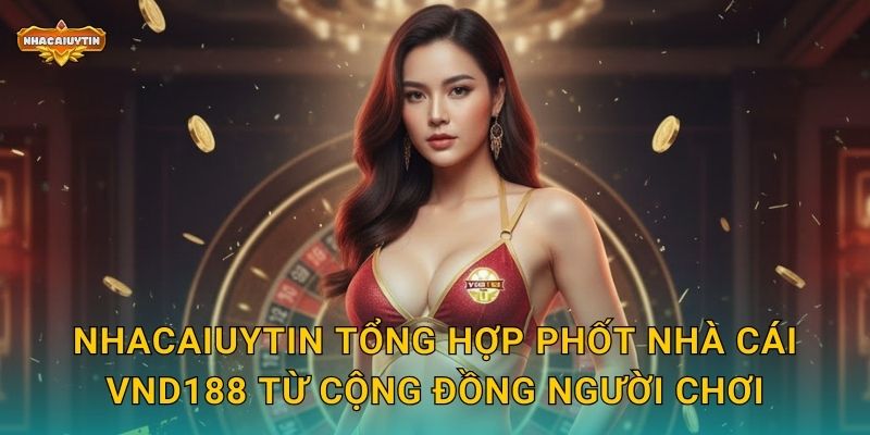 Phốt Nhà Cái VND188 - Nhacaiuytin Cảnh Báo Những Vấn Đề Cần Biết 1 Nhacaiuytin tổng hợp phốt nhà cái VND188 từ cộng đồng người chơi